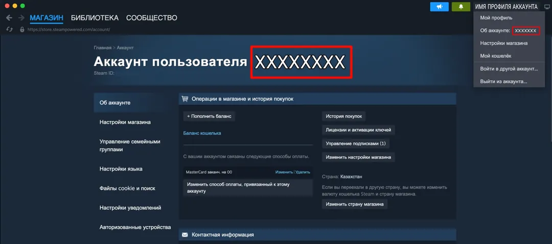 Где найти логин Steam